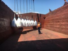 Breakbulk Cargo Chartering & Maritime Brokerage - Image 1