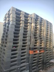 pallets plastic Ajman - Image 1