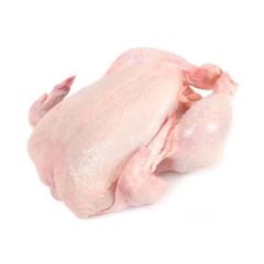 Premium frozen whole chicken available for bulk supply with tender meat – product photo 5, product detail gallery