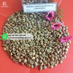 Vietnam Robusta Green Coffee Bean for Export - WA84-902431106 Juli – product photo 2, product detail gallery