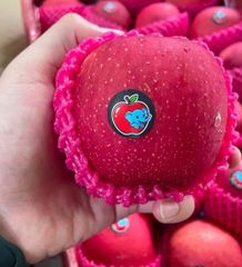 Fuji Apples/Fuji apples, with their crisp texture and sweet-tart flavor, are a delightful fruit that not only pleas – product photo 2, product detail gallery