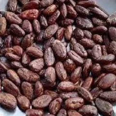 Certified Organic Cocoa Beans Roasted and Dried Cacao Beans Packed in Bag whatsap +255787979235 - Image 1