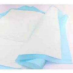 Reusable Nursing Pad for Incontinence and Leak Protection Age Adult Color Blue Backsheet PE OEM Available Folded Folded Absorbent High - Image 2