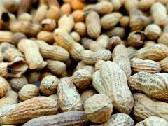 Peanuts Shelled Kernels For Nutritious Snacks Bakery Recipes Confectionery Production And Everyday Food Preparation - Image 1