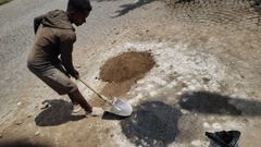 Biochar for Soil Amendment and Construction Applications - Image 4