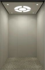 Simple Style Standard Passenger Elevator - Image 4