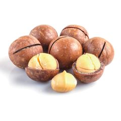 Wholesale Natural Macadamia Nuts Premium Bulk Supply Fresh Roasted Snack Healthy Delicious and Nutritious for Export - Image 4