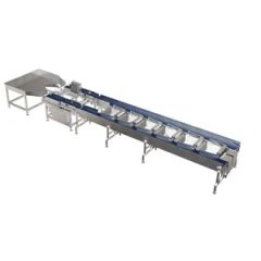 Double Weighing Platform Double The Efficiency Dual Lane Weight Grader Ygw Lb250f8 2 - Foodman Optoelectronic (Shenzhen) Co., Ltd.