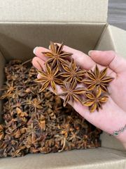 Vietnam Spring/ Autumn Star Anise - Image 1