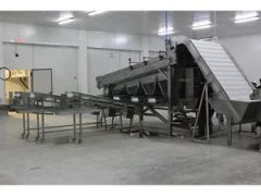 Automatic Industrial 18 Roller Fast Shrimp Grader Multifunction Size Fish Prawn Sorting Grading Machine - Image 6