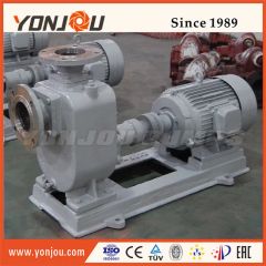 Zx Self Priming Stainless Steel Ballast Pump - Image 4