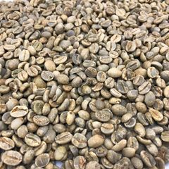 Handpicked Robusta Coffee Bean For Strong Flavor Profile Premium Robusta Coffee Bean For Wholesale Buyers - Image 4