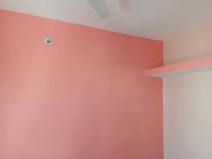 Plastic Paint Services Finish Satin services 4500 product premium Surface Type Wall Property Type Mall Paint Type - Image 11