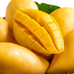 Whosale Fresh Mango Wholesale No Sugar Natural Sweet Delicious Fresh Fruits Dry Fruit Mango Slices - Image 2