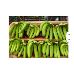 Top Quality Fresh Cavendish Banana - Image 1