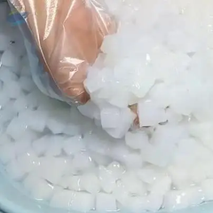 Raw Nata de Coco - Premium Coconut for Food Processing - Image 3