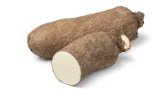 Yam - Image 3