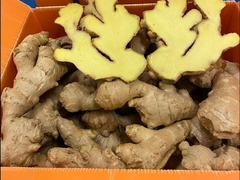 SUPERIOR QUALITY JUMBO GINGER BRAND LARGE SIZE FRESH GINGER WITH STRONG FIBER STRUCTURE 13Kg CARTONS READY FOR EXPORT - Image 2