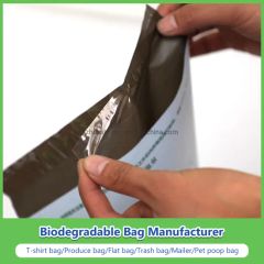 Plastic Printing Bubble Express Bag LDPE Mailing Bag - Image 3