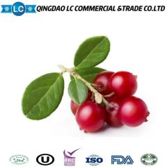 Competitive Price Bulk Frozen IQF Fresh Fruits Red Lingonberry - Image 1