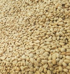 Ethiopian Arabica Green Coffee Beans Yirgacheffe| Guji | Sidamo | Teppi | Djimma – product photo 2, product detail gallery