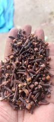 Dry dates - Image 3