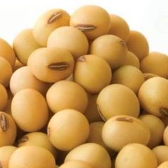 Soyabeans - Image 2