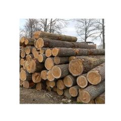 High quality round logs available  - Image 3
