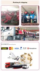 Silage Baler and Wrapper Machine Wet Straw Packing Wrapping Machine Corn Stalk Mini Round Silage Baler - Image 3