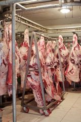 Premium Halal Mutton & Beef Cuts – Fresh & Frozen Technique Halal Type Mutton / Beef Storage Type -18°C or below Grade A Grade – Export - Image 2