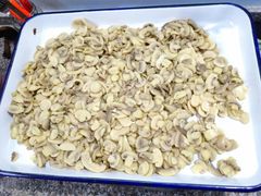 Canned Mushroom with High Quality - Image 3