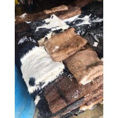 Quality Dry Donkey Hides, Wet Blue Cow hides and wet salted cow hides available - Image 1