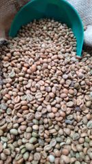 Hot Selling Blended Arabica & Robusta Premium Quality Direct Wholesale Green & Roasted Brazil Coffee Beans Bulk Packed – product photo 3, product detail gallery