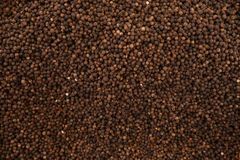 Black Pepper – Premium Grade (Whole & Ground Available) – product photo 4, product detail gallery