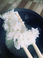 Japonica Sushi Rice, High Quality, 5% Broken - Image 5