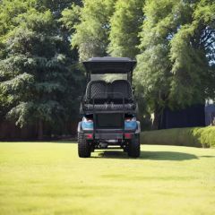 Silent Golf Cartslithium Lead Acid Batteries 6 Seater 48V5kw Sightseeing Car - Sichuan Nuole Electric Technology Co., Ltd.