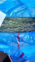 Herbs and Chillies (Fresh and Dried) – product photo 3, product detail gallery