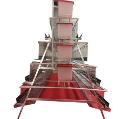 Automatic Egg Layer Chicken Coop for Poultry Farming - Image 4