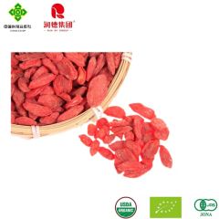 Goji Berry Power Snack for Daily Energy and Wellness Support MOQ 20 OEM/ODM Yes Model NO. 620 Custom Support Type Dried Goji - Image 6