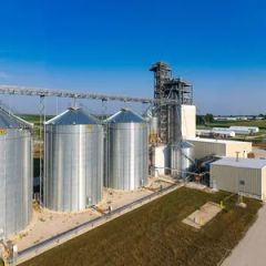 Optimal Livestock Chicken Farm for Weatherproof and Durable Poultry Solutions - Qingdao Intelligent Poultry Investment Development Co., Ltd.
