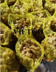 Fresh Ginger, Dried ginger – product photo 2, product detail gallery