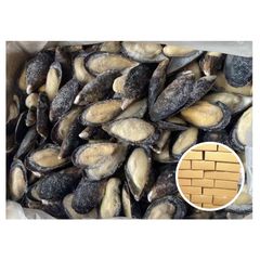 High Quality Import Shellfish Mussels Blue Mussels Meat Frozen Half Shell Mussel - Image 1