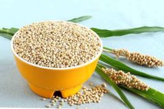 Sorghum – product photo 4, product detail gallery