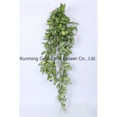 Fresh Cut Leaves Star Leaves Feature Fresh Model NO. 067 Material Nature Style Wholsales HS Code 06031900 Type Star - Image 5
