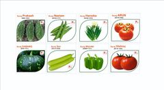 Product thumbnail 18