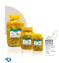 TEMAS GROUP SAUCES AND JAMS PICKLES - Image 4