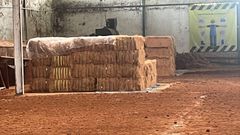 Coco Fiber Width Up to 80 cm Ph Range 5.5 - 6.5 Grade Export Quality Length > 80 cm to 120 cm Origin Jakarta, Indonesia Moisture Content 12% - 30% - Image 2