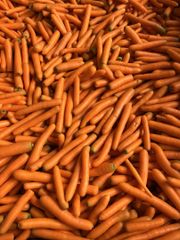 Carrot Packaging Options Pe Bags: 1 Kg, 2 Kg, 3 Kg, 5 Kg, And 10 Kg (custom Printing Available); Raschel Bags: 5 Kg, 10 Kg, And 20 Kg; Loose: 5 Kg In Cardboard Boxes; Bulk: 1,000 Kg In Big - Image 1