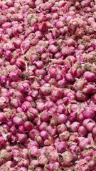 SHALLOT ONION Packaging MESH BAG Grade Top Quality Export - Image 2