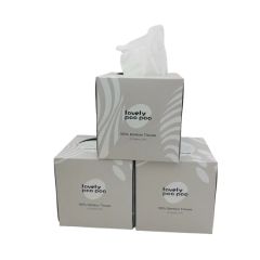 Wholesale 3ply Box Biodegradable Facial Tissues MOQ 1*40hq Trademark OEM Layer 2/3/4 Ply Origin Shangdong Price Best - Image 1
